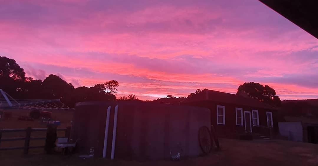 Ruby'S Cottage Farm Stay Port Arthur Extérieur photo