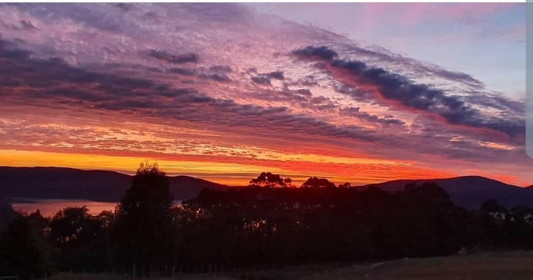 Ruby'S Cottage Farm Stay Port Arthur Extérieur photo