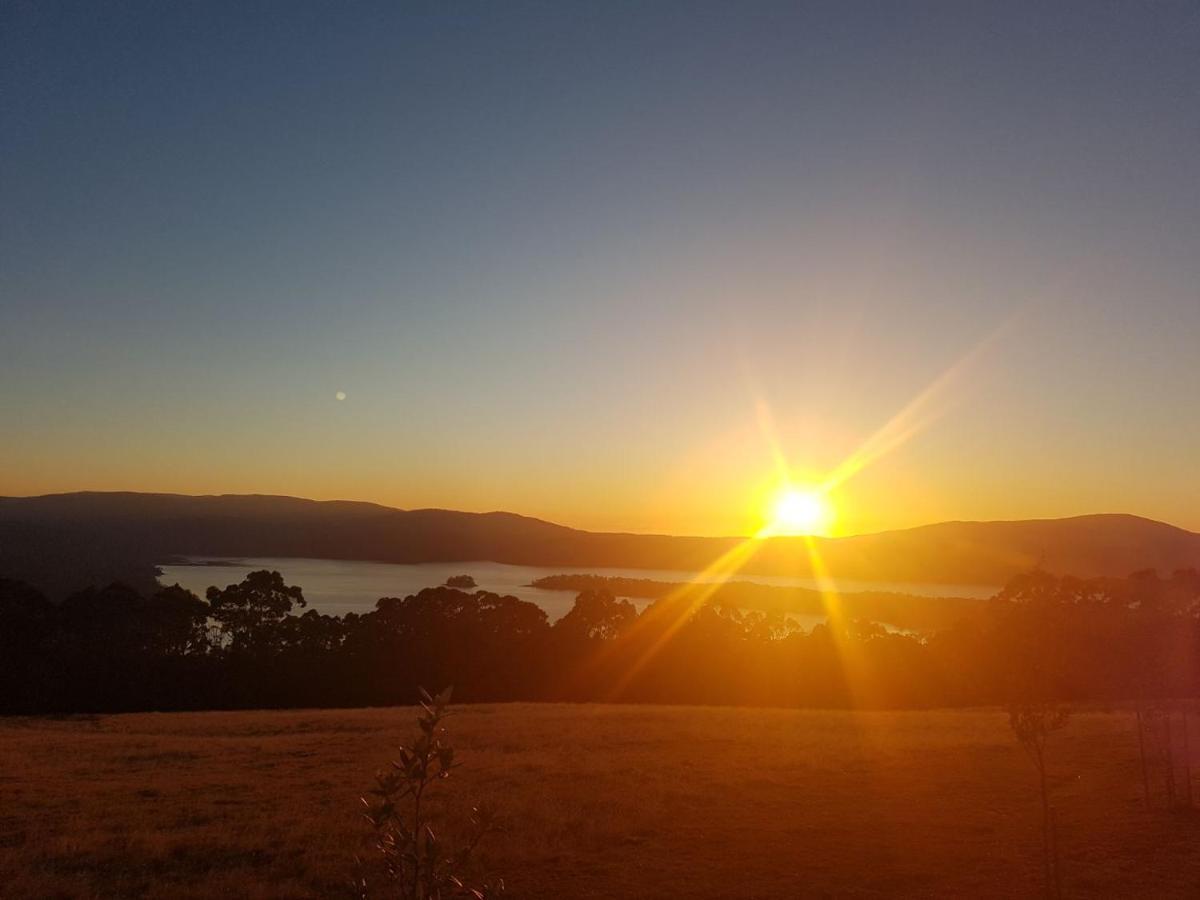 Ruby'S Cottage Farm Stay Port Arthur Extérieur photo