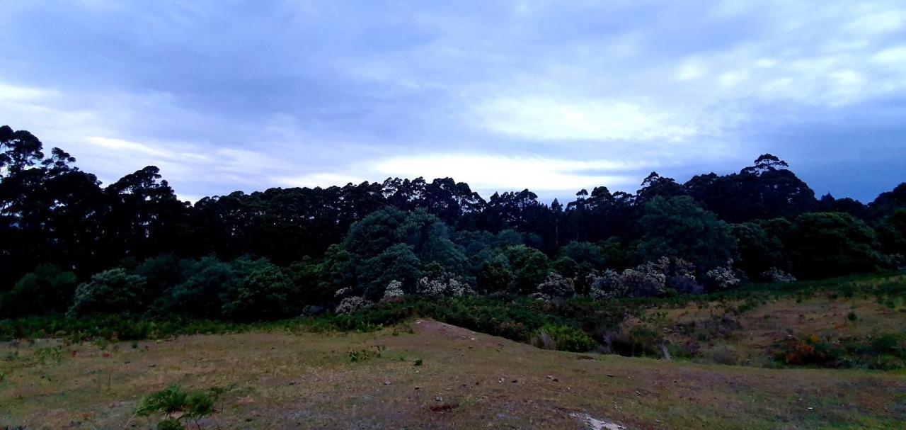 Ruby'S Cottage Farm Stay Port Arthur Extérieur photo