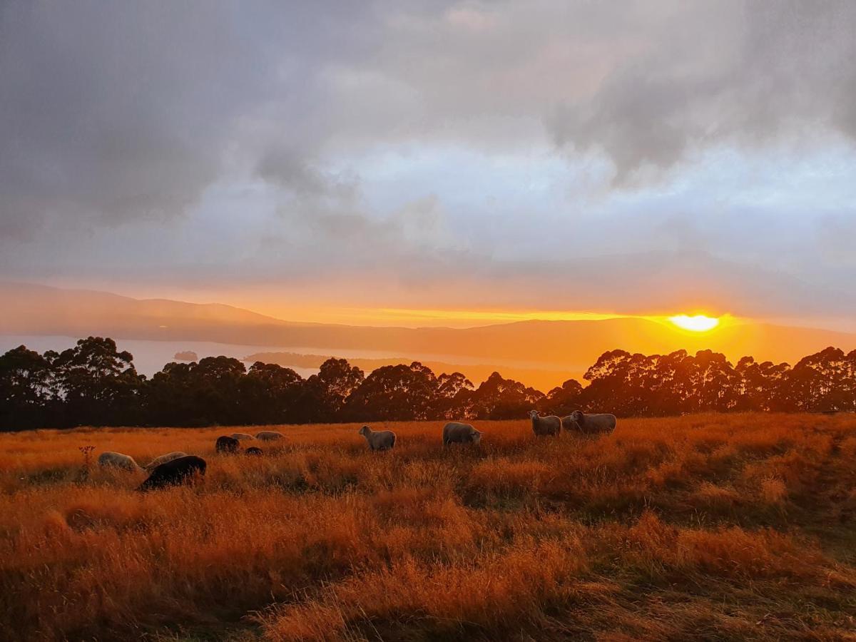 Ruby'S Cottage Farm Stay Port Arthur Extérieur photo