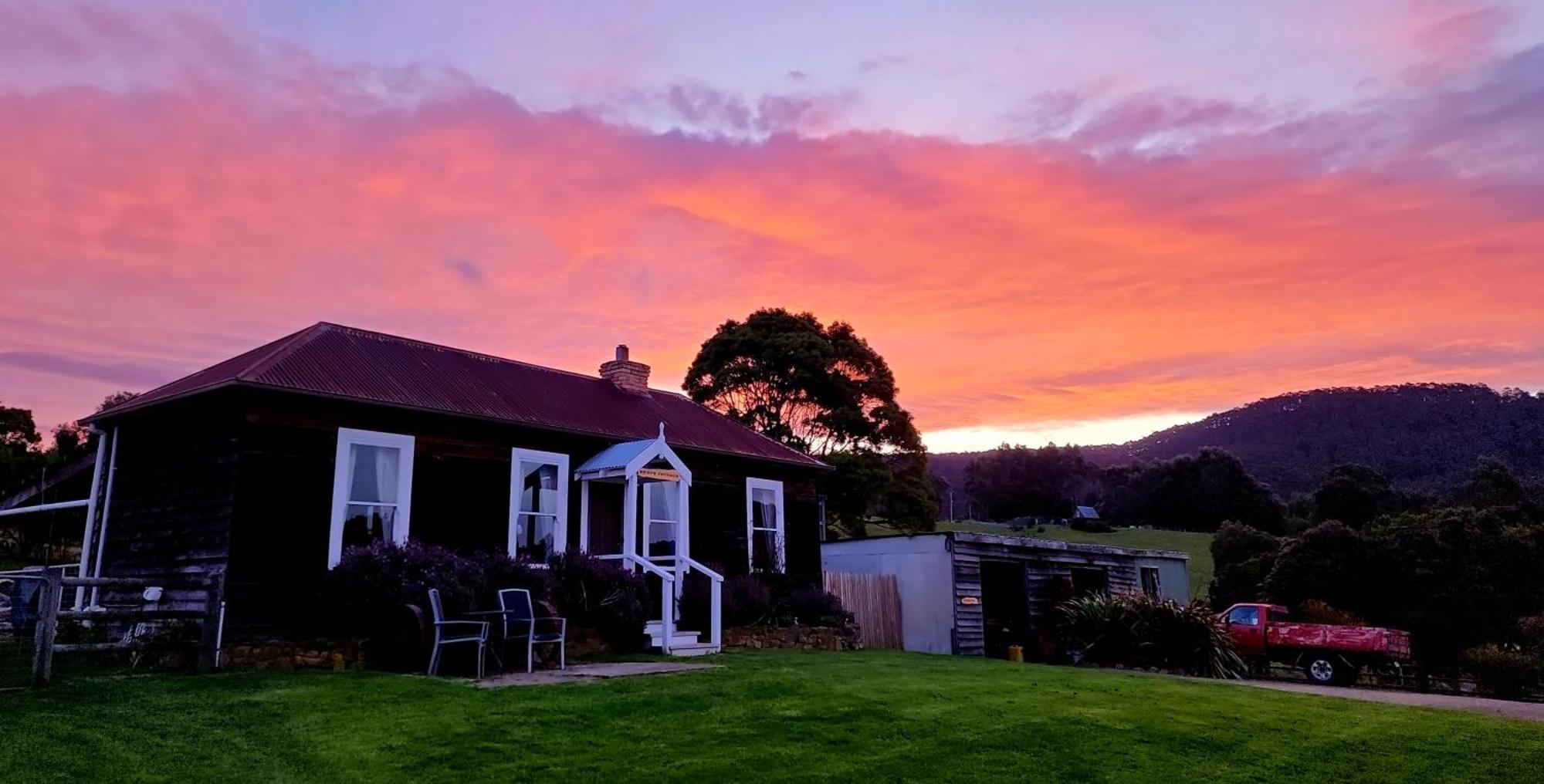 Ruby'S Cottage Farm Stay Port Arthur Extérieur photo