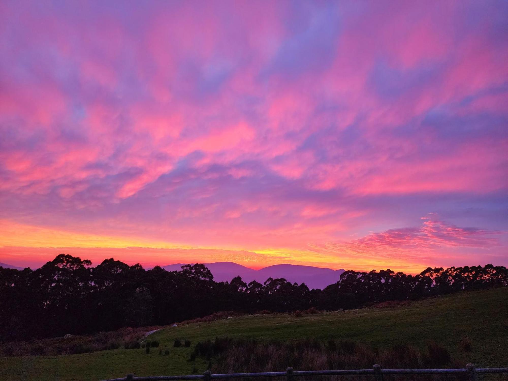 Ruby'S Cottage Farm Stay Port Arthur Extérieur photo